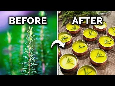 DIY Rosemary-Infused Oil: A Simple Guide from the Garden