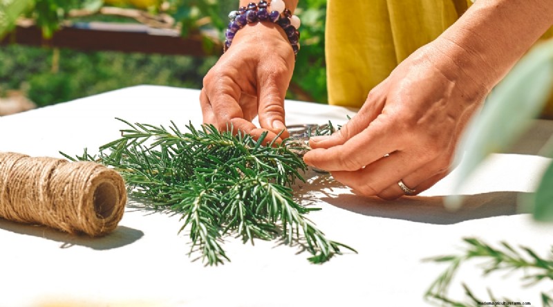 DIY Rosemary-Infused Oil: A Simple Guide from the Garden