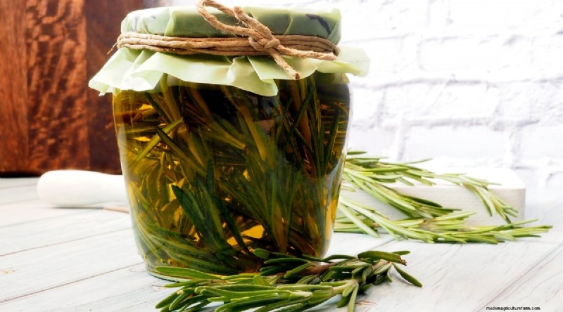 DIY Rosemary-Infused Oil: A Simple Guide from the Garden