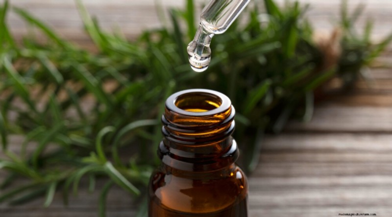 DIY Rosemary-Infused Oil: A Simple Guide from the Garden