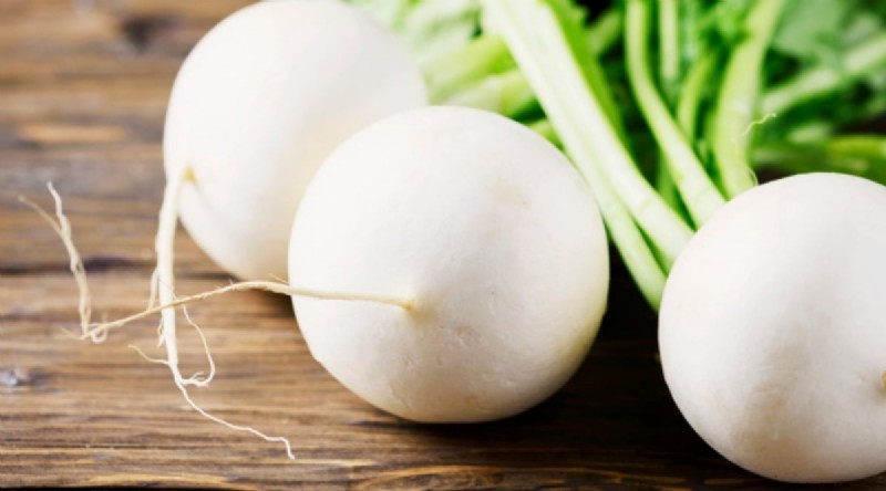 Beginner-Friendly Vegetables: 31 Easy-to-Grow Options for New Gardeners