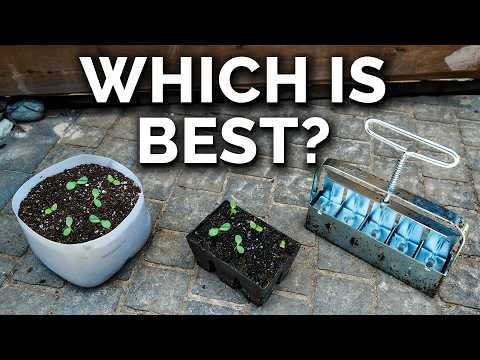 11 Easiest Tomato Varieties to Grow from Seed - Beginner s Guide