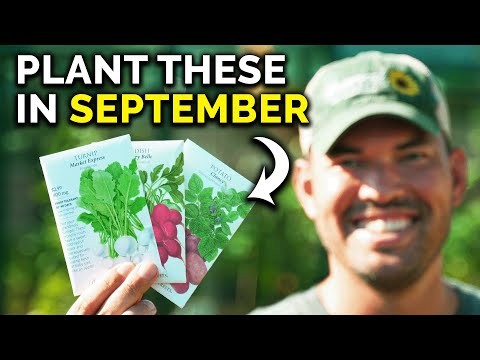 September Planting Guide: 19 Seeds for a Fall Harvest