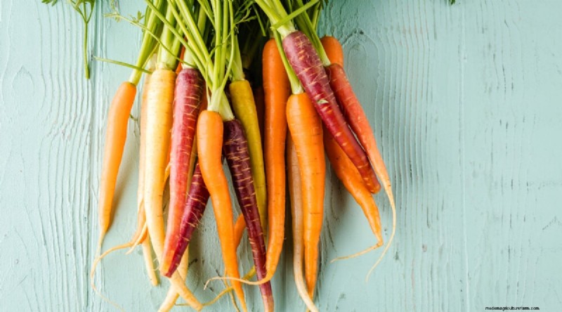 September Planting Guide: 19 Seeds for a Fall Harvest
