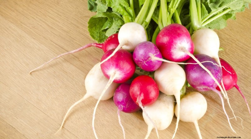 September Planting Guide: 19 Seeds for a Fall Harvest
