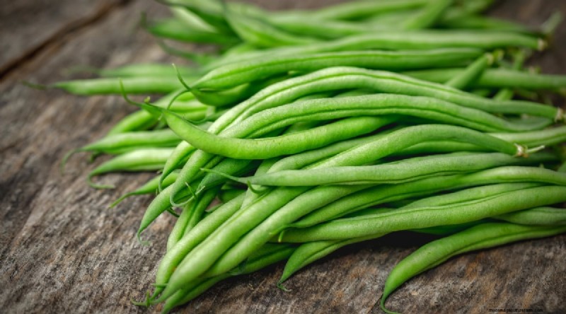 September Planting Guide: 19 Seeds for a Fall Harvest