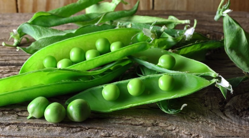 September Planting Guide: 19 Seeds for a Fall Harvest