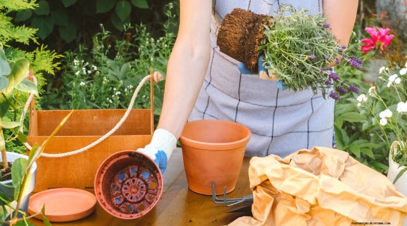 Maximize Your Space: 15 Expert Tips for Small-Space Herb Gardening
