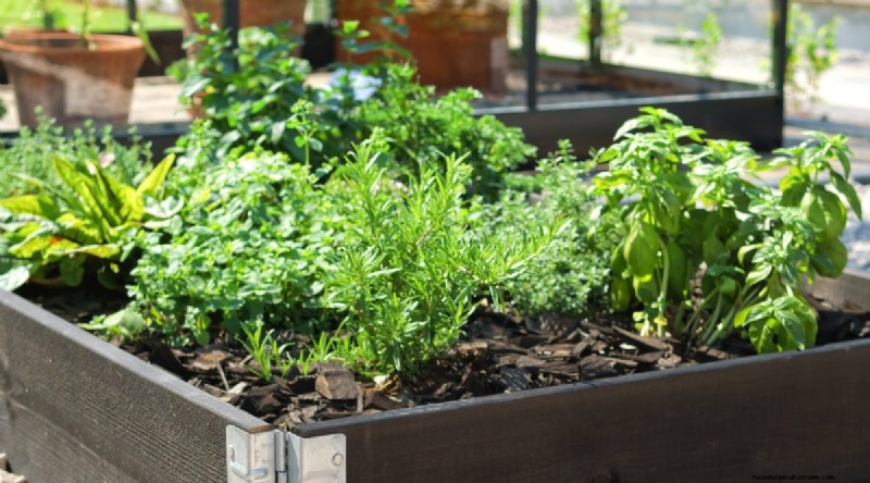 Maximize Your Space: 15 Expert Tips for Small-Space Herb Gardening