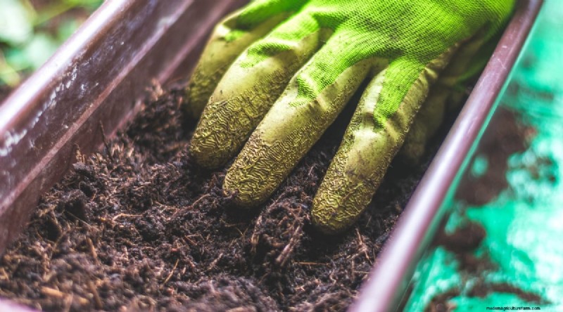Maximize Your Space: 15 Expert Tips for Small-Space Herb Gardening