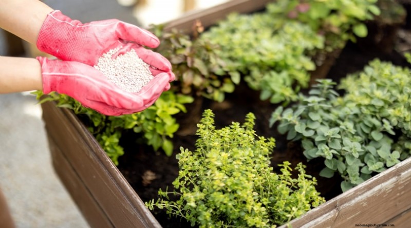 Maximize Your Space: 15 Expert Tips for Small-Space Herb Gardening
