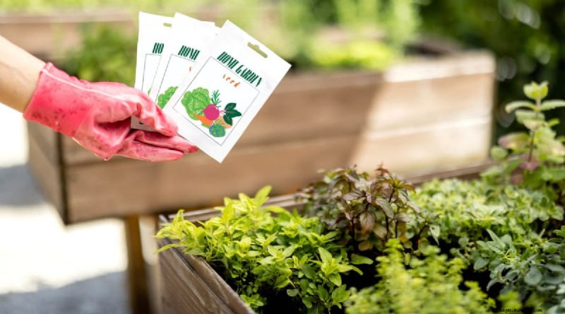 Maximize Your Space: 15 Expert Tips for Small-Space Herb Gardening