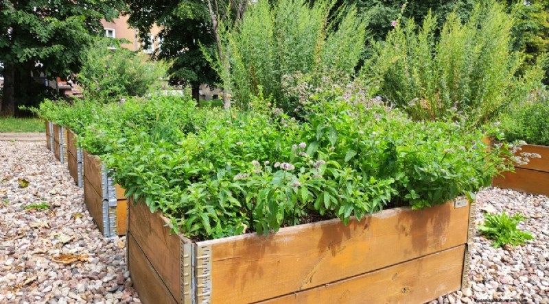 Maximize Your Space: 15 Expert Tips for Small-Space Herb Gardening
