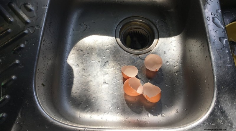 Eggshells for Tomato Plants: Benefits & Better Alternatives