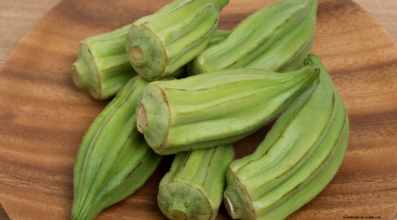 Okra Harvesting Guide: Timing & Best Practices for Flavorful Pods