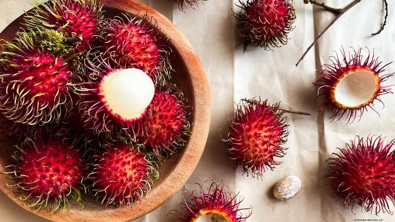 Rambutan Trees: Growing, Planting & Care Guide