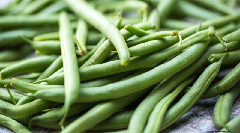 Growing Beans: A Comprehensive Guide to 44 Varieties