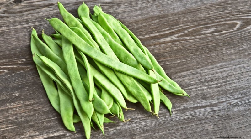 Growing Beans: A Comprehensive Guide to 44 Varieties