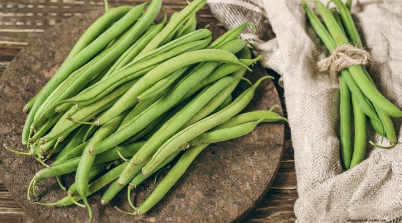 Growing Beans: A Comprehensive Guide to 44 Varieties