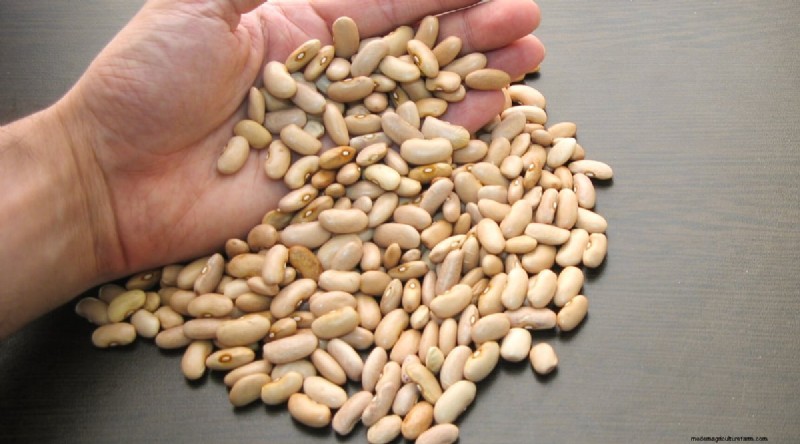 Growing Beans: A Comprehensive Guide to 44 Varieties