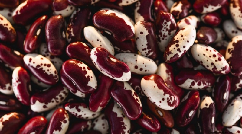 Growing Beans: A Comprehensive Guide to 44 Varieties