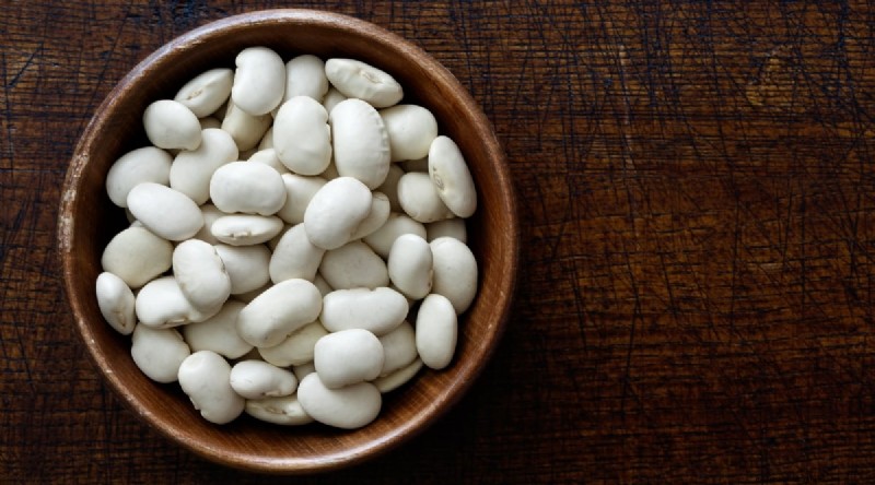 Growing Beans: A Comprehensive Guide to 44 Varieties