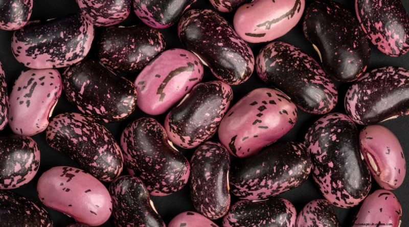 Growing Beans: A Comprehensive Guide to 44 Varieties