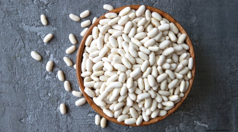 Growing Beans: A Comprehensive Guide to 44 Varieties