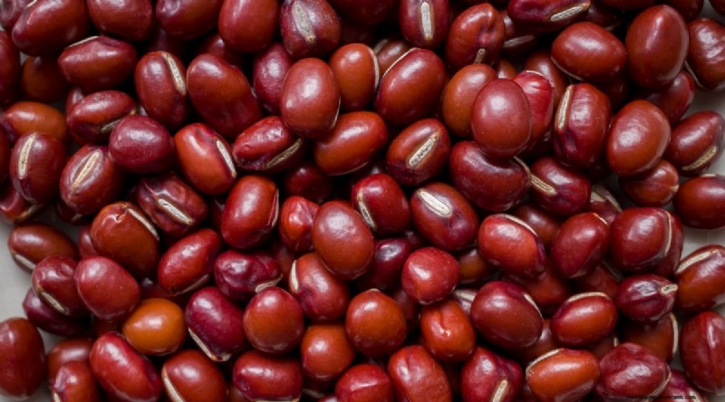Growing Beans: A Comprehensive Guide to 44 Varieties
