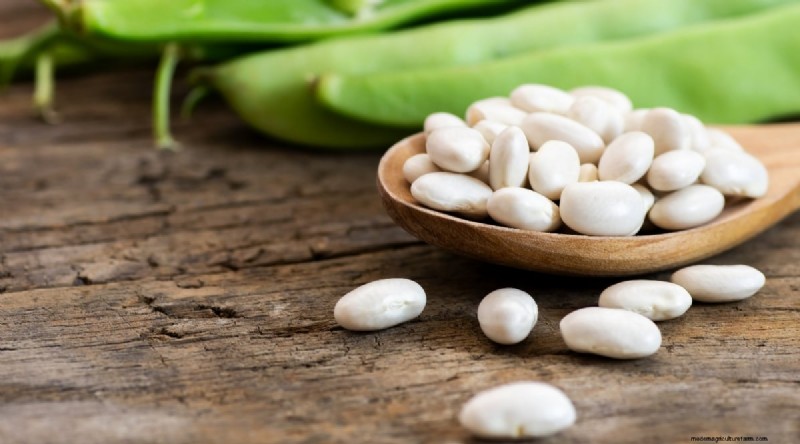 Growing Beans: A Comprehensive Guide to 44 Varieties