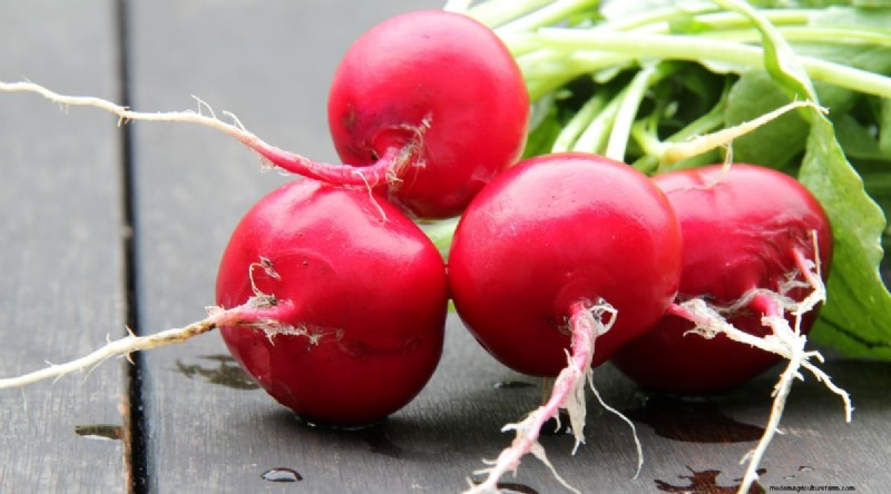 Grow Radishes: 40 Varieties for Every Gardener