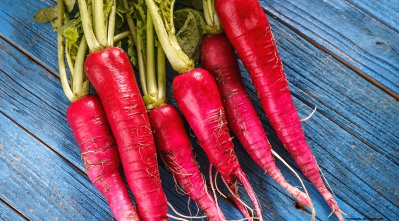 Grow Radishes: 40 Varieties for Every Gardener
