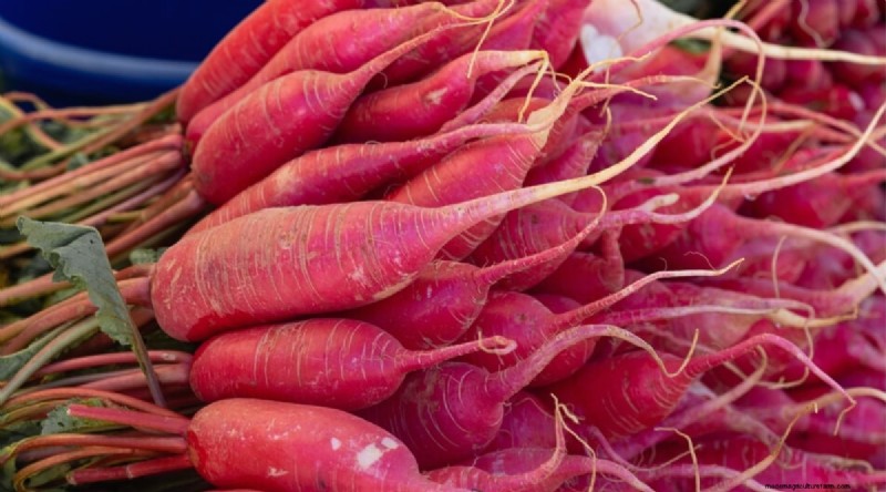 Grow Radishes: 40 Varieties for Every Gardener