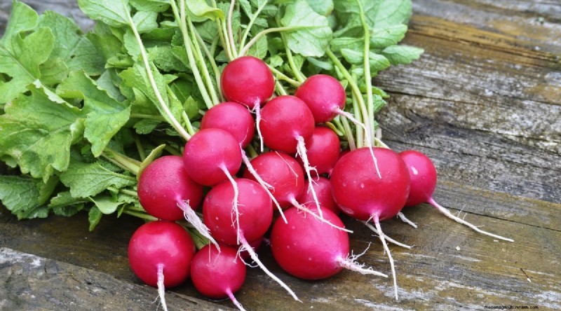 Grow Radishes: 40 Varieties for Every Gardener