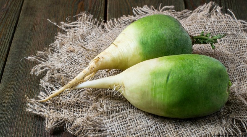 Grow Radishes: 40 Varieties for Every Gardener