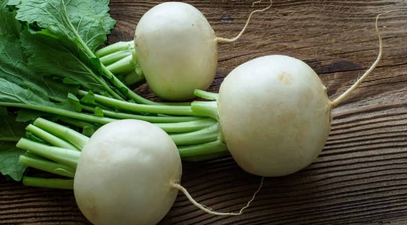 Grow Radishes: 40 Varieties for Every Gardener