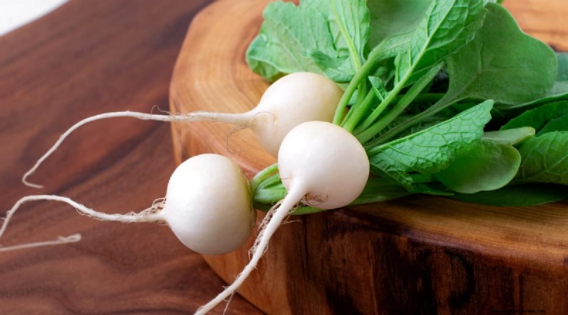 Grow Radishes: 40 Varieties for Every Gardener