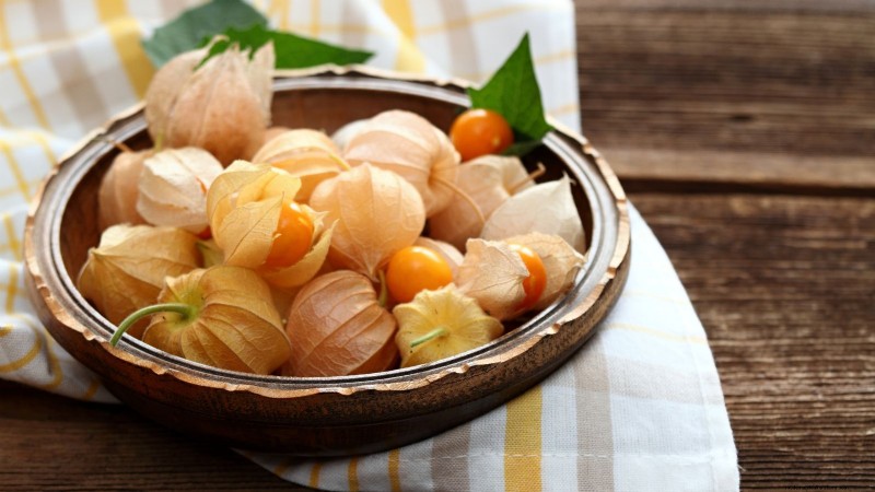 Ground Cherry: Planting, Growing & Care Guide | [Your Brand/Site Name]