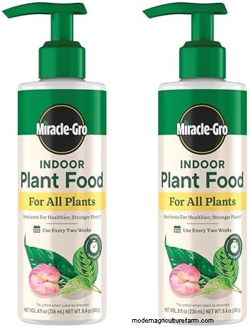 Houseplant Fertilizer Mistakes: Avoid Damage & Keep Plants Thriving