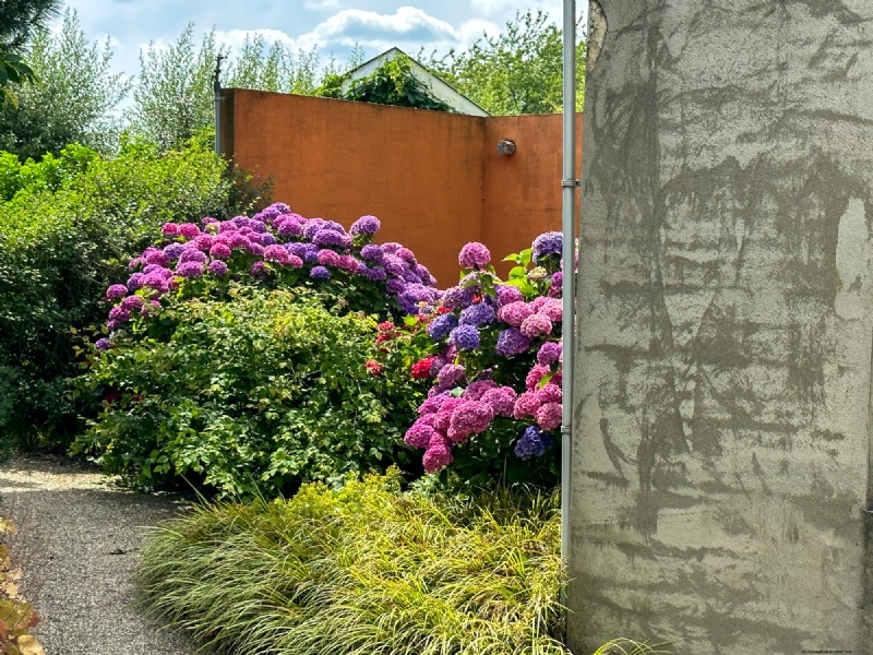 Landscape Design Costs & Expert Secrets: What Professionals Know
