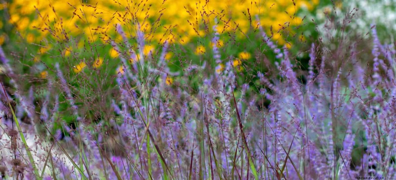 Landscape Design Costs & Expert Secrets: What Professionals Know