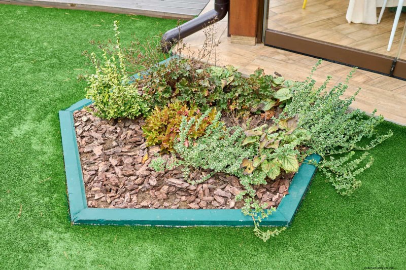 Expert Mulching Techniques: Reduce Weeding & Improve Soil Health