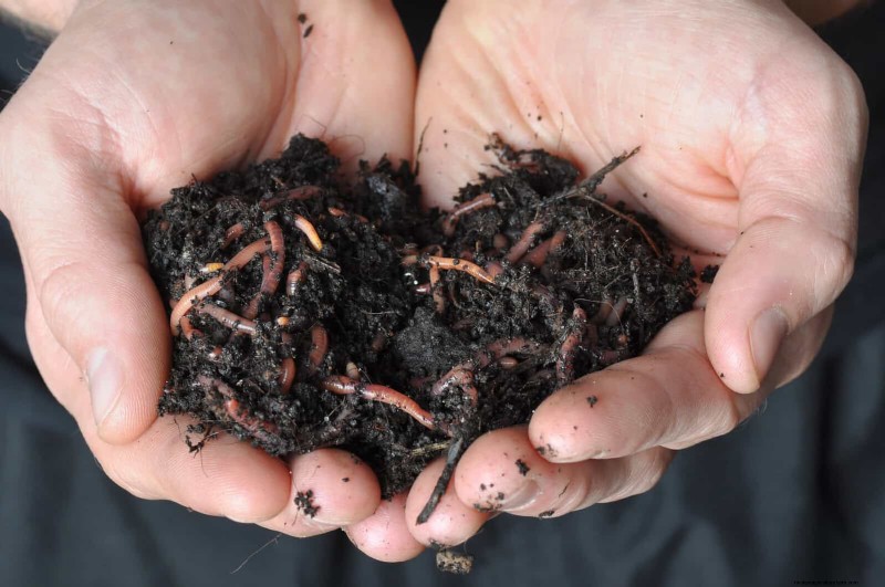 Unlock Garden Success: 18 Soil Secrets for Vibrant Growth