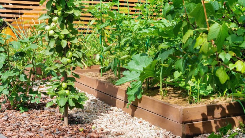 Unlock Garden Success: 18 Soil Secrets for Vibrant Growth
