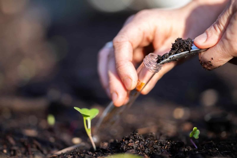 Soil Testing: The Key to a Thriving Garden (and a Healthier Planet)