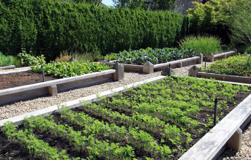 Soil Testing: The Key to a Thriving Garden (and a Healthier Planet)
