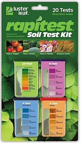 Soil Testing: The Key to a Thriving Garden (and a Healthier Planet)