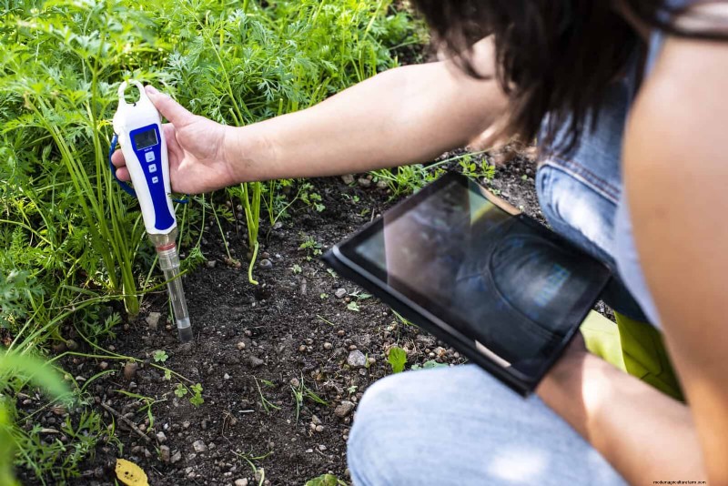 Soil Testing: The Key to a Thriving Garden (and a Healthier Planet)