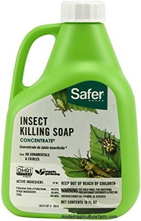 Effective Natural Pest Control: 18 Proven Methods for a Healthy Garden