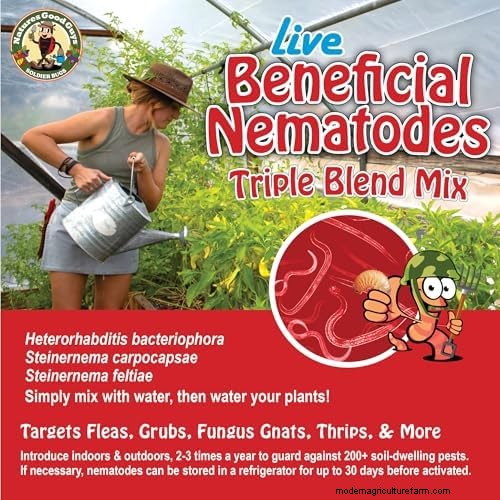 Effective Natural Pest Control: 18 Proven Methods for a Healthy Garden